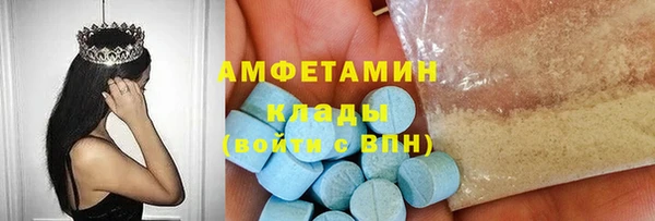 гашик Алексин