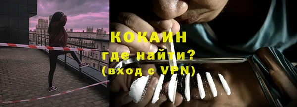 гашик Алексин