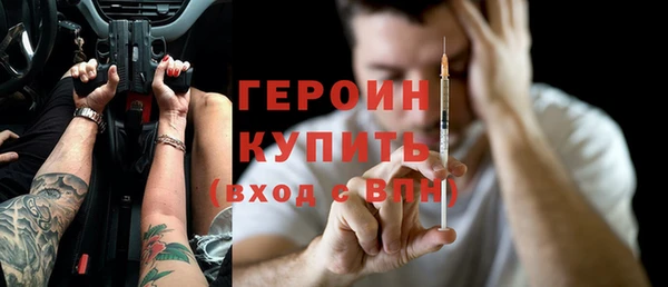 гашик Алексин
