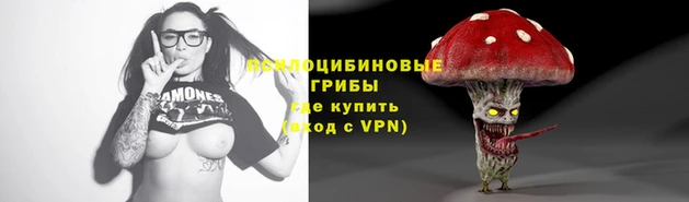 гашик Алексин