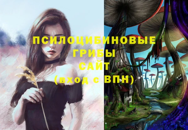 2c-b Ростов