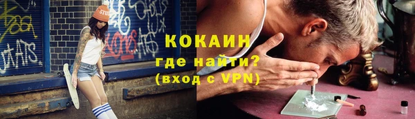 гашик Алексин