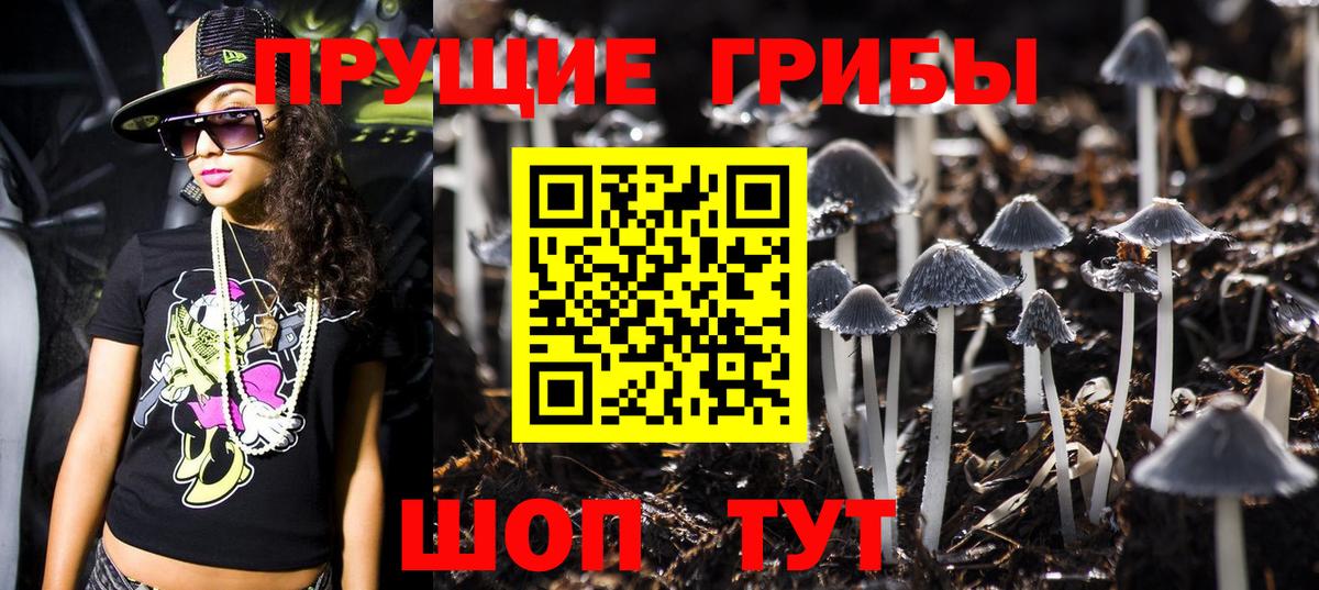 Галлюциногенные грибы Psilocybe  Псилоцибиновые грибы прущие грибы  где найти   Вход с VPN  Саки 